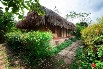 Bungalow Gia Đình Lotus Pond