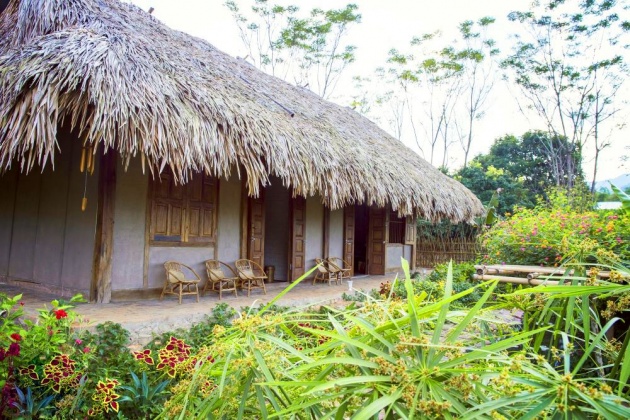 Bungalow Gia Đình Lotus Pond