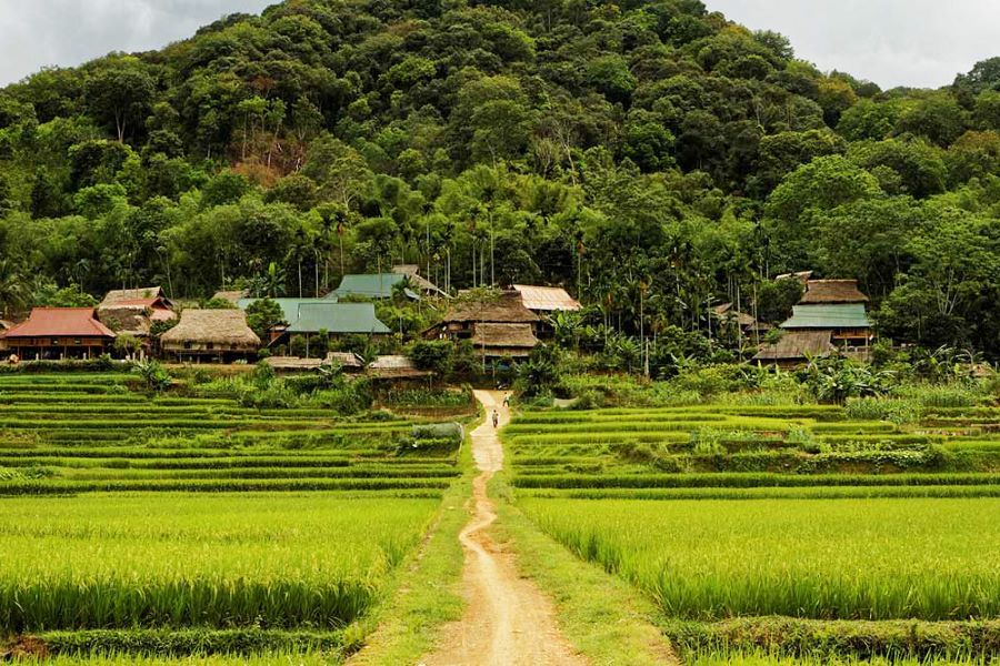 Kinh Nghiệm Du Lịch Mai Châu